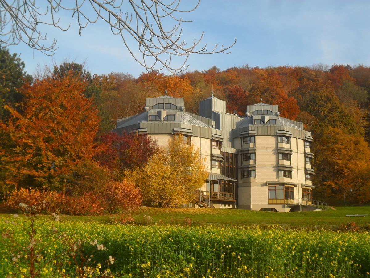 Hellmut-Wassmer-Jugendherberge Loerrach Extérieur photo